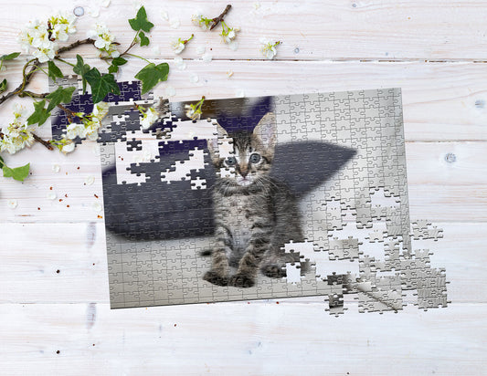 Foto puzzle 300 elementów w woreczku