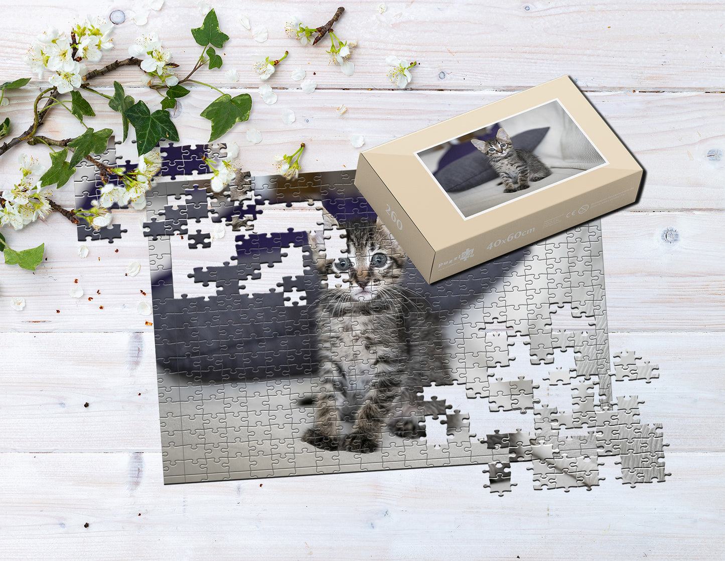 4373111a76278cd52c146b930d7b1201